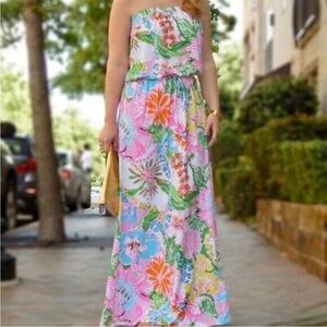 LILLY PULITZER Nosey Posey Maxi Dress Lilly Pulitzer For Target Size XXL